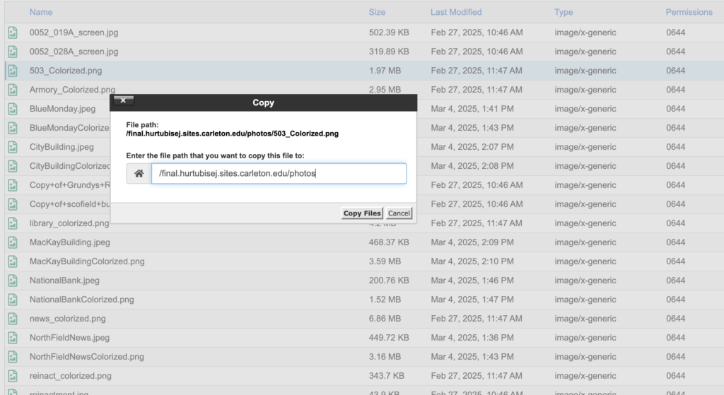 CarlSites File Manager, File Copy functionality.